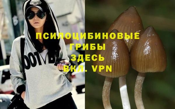 спайс Абинск