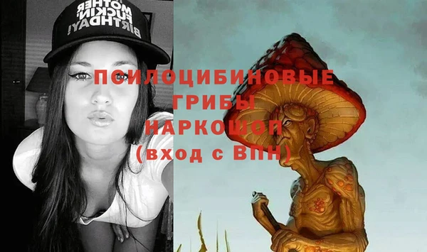 СК Покровск