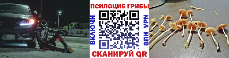 Псилоцибиновые грибы ЛСД  дарнет шоп  Камышлов 